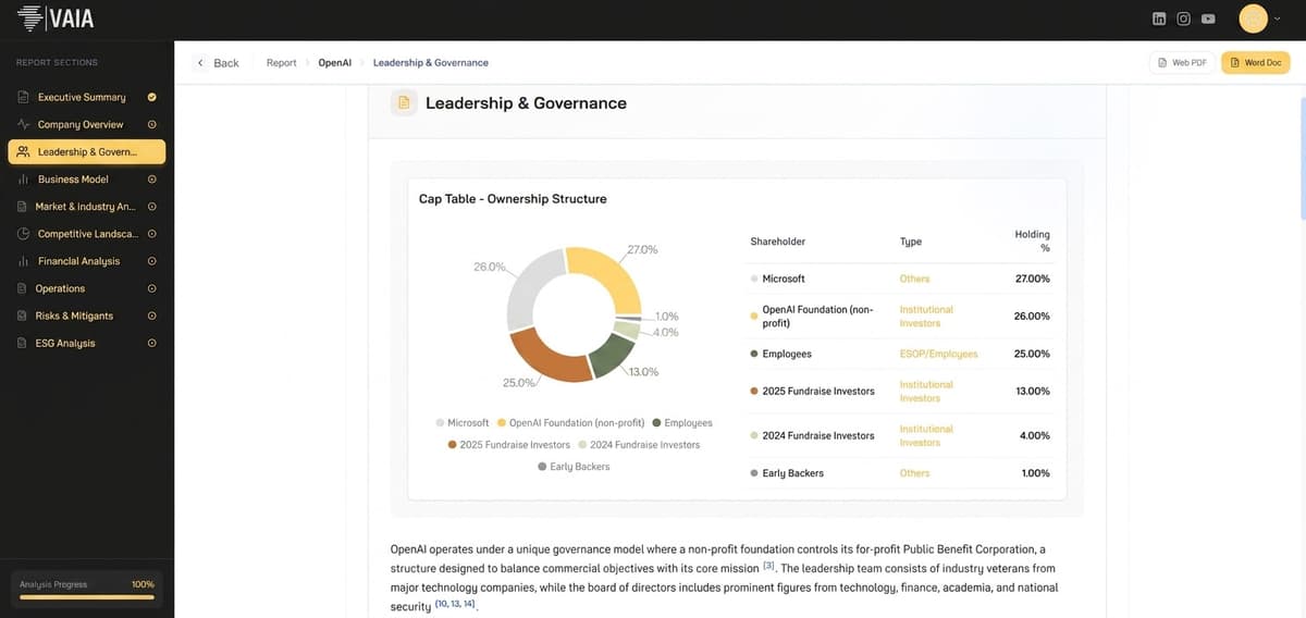 VAIA Due Diligence Report — Leadership & Governance